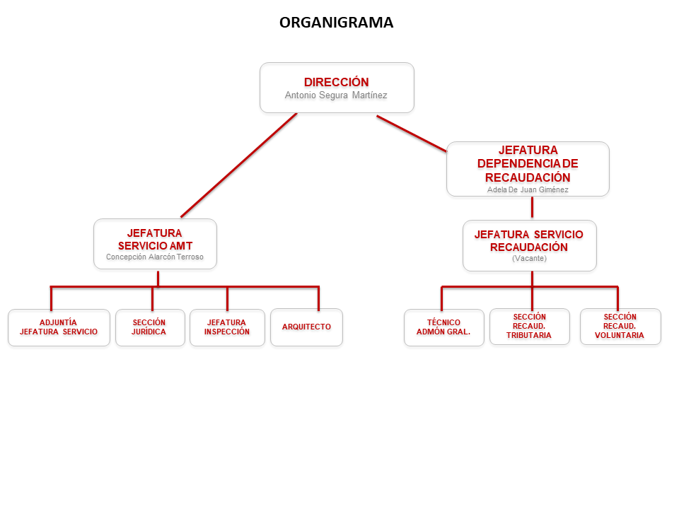 Organigrama 2024